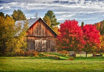 Vermont Fall Foliage Michael Lichtenstein Photography