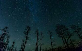 Starnight Wallpaper