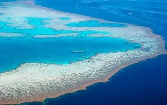 Great Barrier Reef Wallpaper