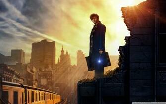 Fantastic Beasts And Where To Find Them 4k HD Desktop Wallpaper
