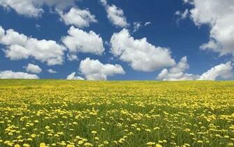 Landscape Widescreen Desktop Wallpaper