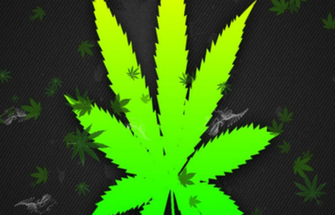 Bright Green Weed Leaf HD Wallpaper