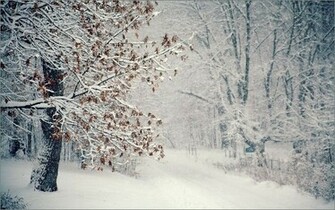 Travelling Through Falling Snow Wallpaper