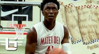 Stanley Johnson Dominates Tarkanian Classic Wins Mvp