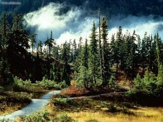 Nature Natures Majesty Picture Nr