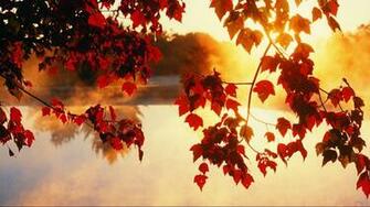 HD Wallpaper Nature Wallpaper New