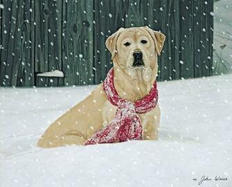 Lang February Wallpaper Love Of Dogs