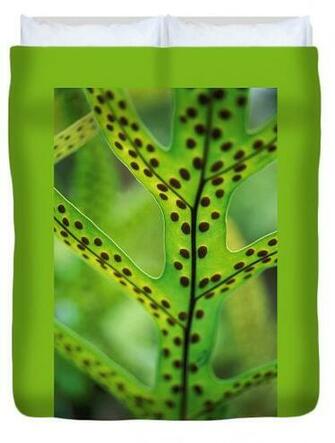 Hawaiian Laua E Fern Duvet Cover By Kathy Yates