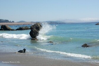 California Beach Photo Wallpaper On This Background