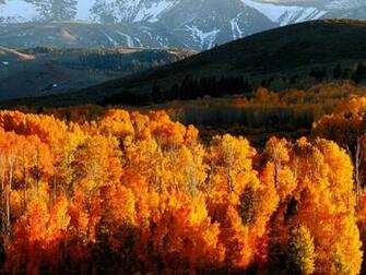 Autumn Forest Hills Snow Wallpaper