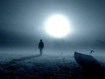 Fog After The Rain Wallpaper