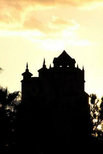 Wdwlive Walt Disney World iPhone Wallpaper