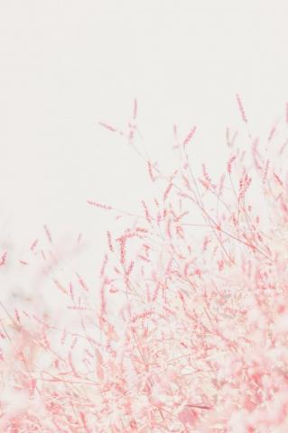 Pastel Wallpaper HD Hq