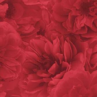 Statement Kal Red Wallpaper At Wilko