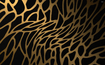 Radiate Feline Beauty In Glitter Wallpaper