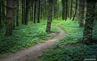 Wallpaper Nature Microsoft Footpaths