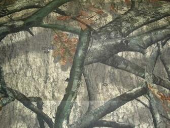 Mossy Oak Logo Wallpaper Camo For Walls Pink