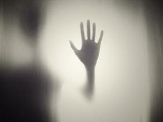 What Are The Common Fears And Phobias Eliminate Them For Good