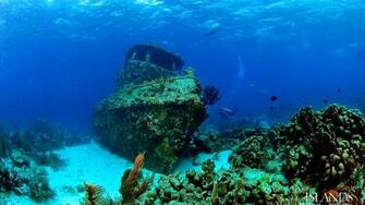 Depth Sunken Ship Boat Old Sea Deep Discover Fish