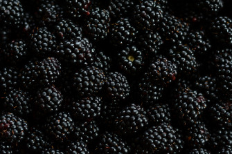 Fruit Berry Food Blackberry HD Wallpaper