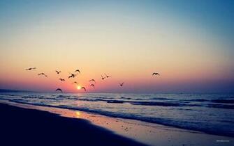Summer Background HD Wallpaper