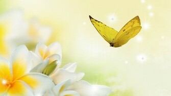 Frangipani Mariposa Amarillo Wallpaper