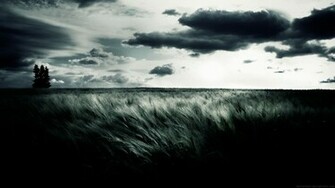 HD Wallpaper Abstract Black And White Nature Fields Car