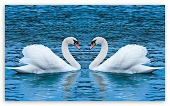 HD Desktop Wallpaper Widescreen Fullscreen Mobile Dual Monitor