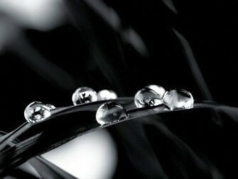 Use Any Of These Black And White Wallpaper That Are Designed To