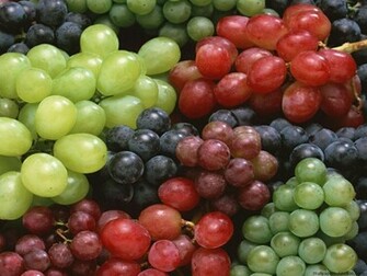 Grapes Wallpaper