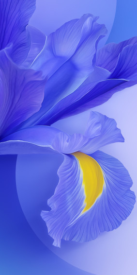 Xiaomi Mi Wallpaper To Customize Your Old Smartphone
