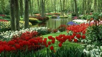 Beautiful Nature Wallpaper Best