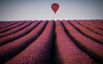 Purple Haze Desktop Wallpaper