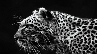 Black And White Art Wallpaper