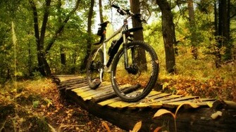 Mountain Bike Wallpaper
