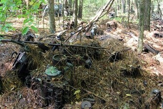 Abandoned Cars