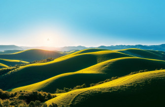 Manjaro Wallpaper