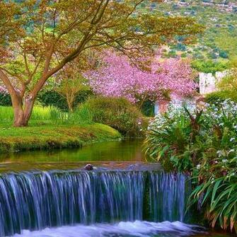 Spring Scene iPad Air Wallpaper iPhone