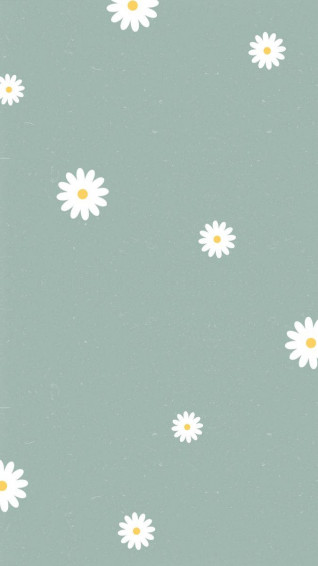 Top Daisy Aesthetic Wallpaper Full HD 4k To Use
