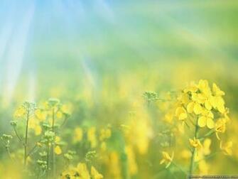 Url Smscs Photo Spring Html