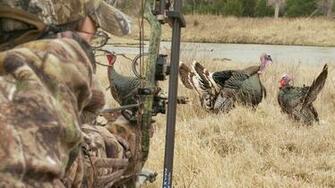 Bow Hunting Archery Archer Arrow Weapon Wallpaper