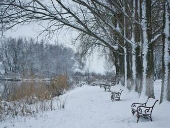 Winter And Snow Scenes Wallpaper Bonzy