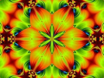 Fire Flower Wallpaper HD Image W Web
