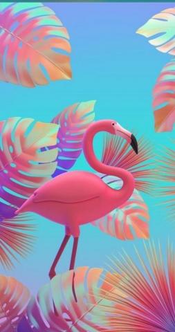 Katia Costa On Mis Fondos De Pantalla Pink Flamingo