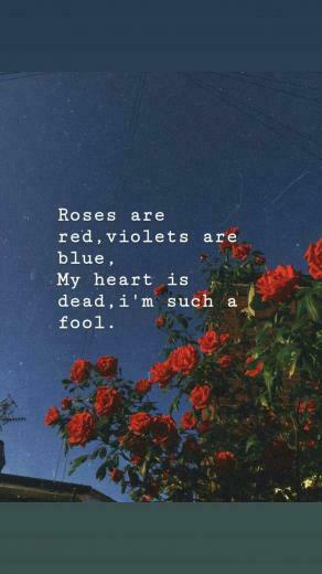 Juice Wrld Roses Music Lyrics Frases Fondos