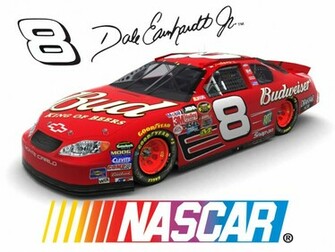 Dale Jr