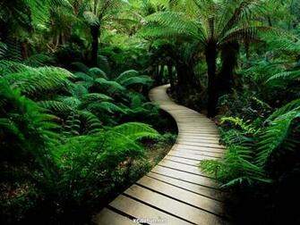 Make You Refresh Nature Wallpaper Xcitefun Net
