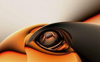 HD Orange Wallpaper