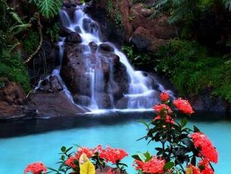 Imagenes De Hermosura Cascada Y Fondos Pantalla