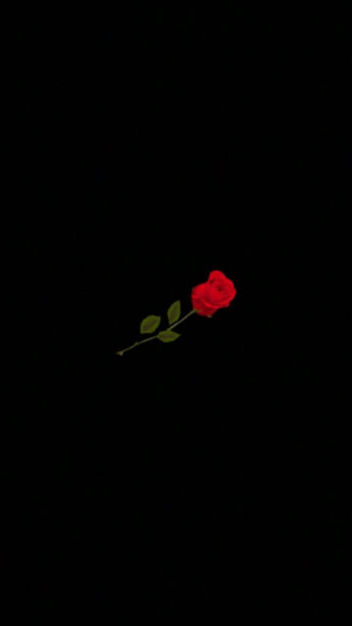 Black Rose Aesthetic Wallpaper